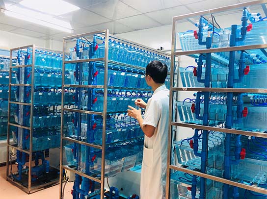 ��Ȧ(�й���)�������ǲ�!